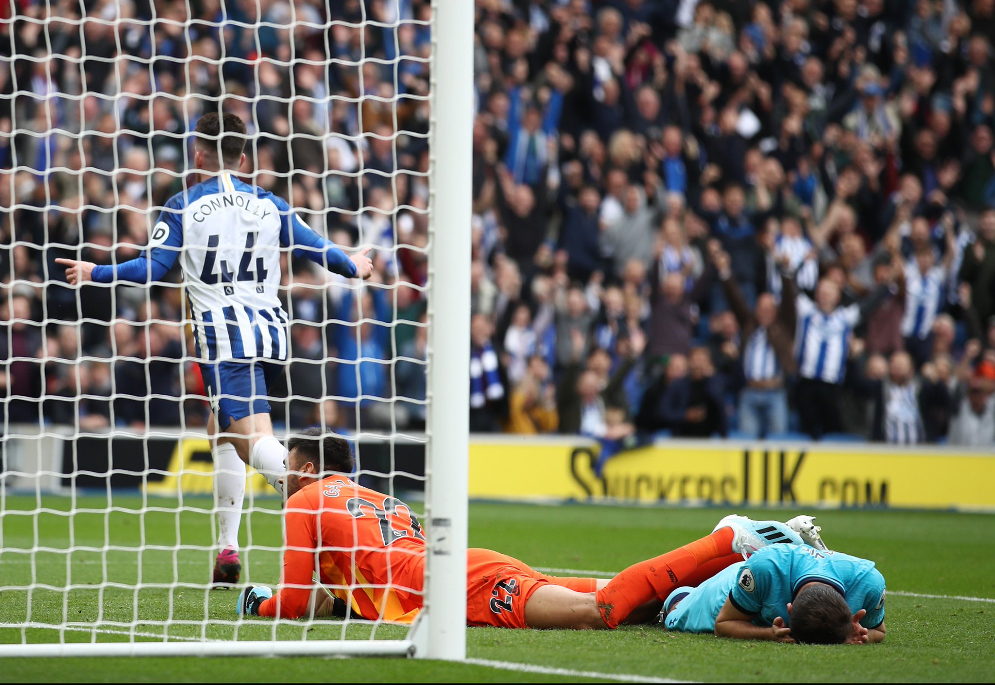 的水果合作 的水果合作